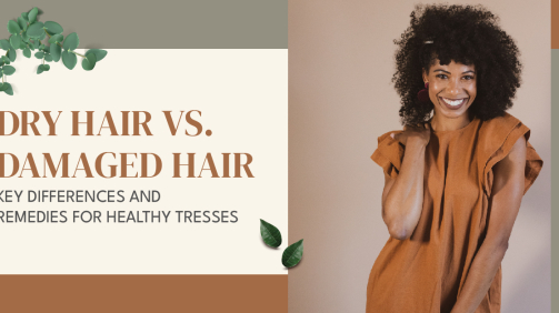 Dry Hair vs. Damaged Hair: Key Differences and Remedies for Healthy Tresses